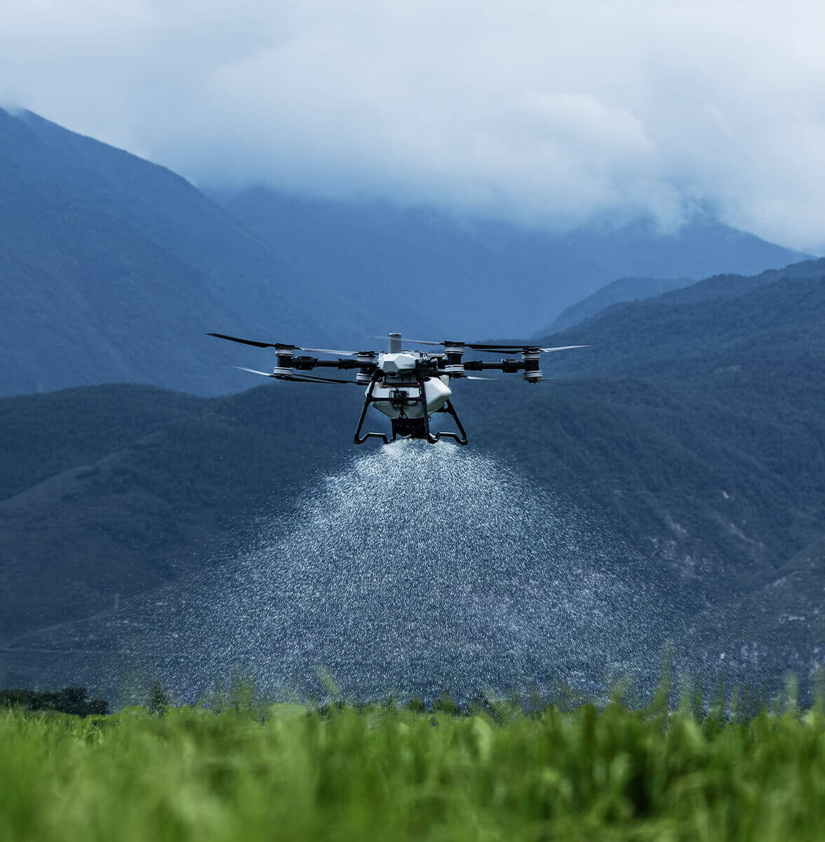 DJI AGRAS T100 em operação agrícola — fotografia oficial DJI